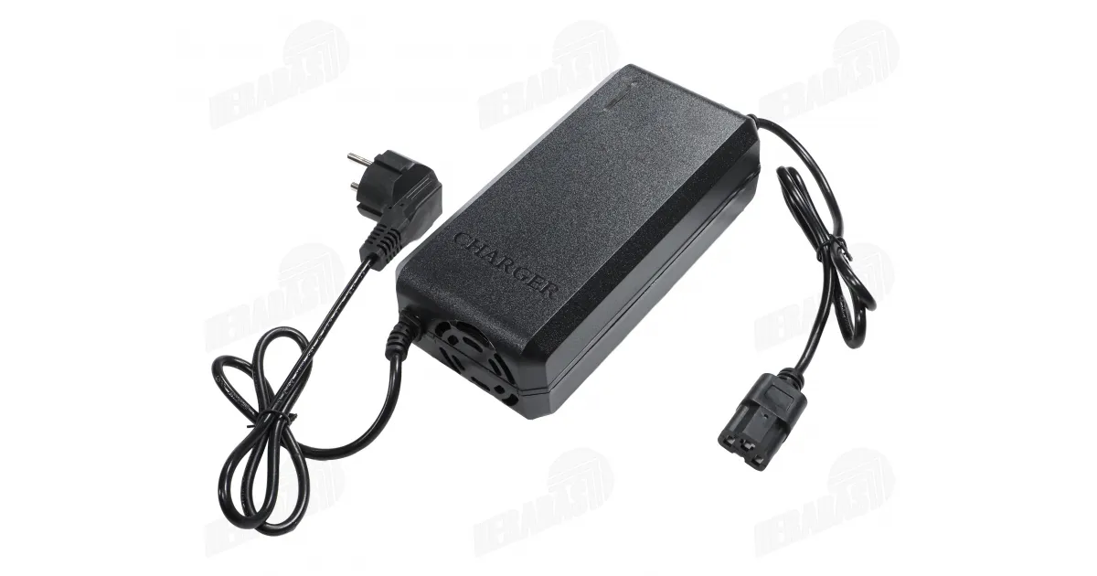 60v-30a-20ah-elektrinio-
