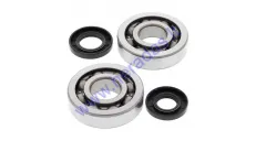 Crankshaft oil seals 16,4/30/5, 19,8/30/5  and bearings 47/20/14, 47/17/13 set for scooter 50cc GY6 4T