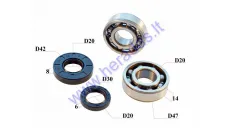 CRANKSHAFT SWING ARM OIL SEALS KIT SCOOTER Minarelli 2T 6204 2RS 2PCS SEALS 20x42x8 , 20x30x6