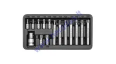 15 piece torx bit set  T20, T25, T30, T40, T45, T50, T55 L=30mm, L=70mm