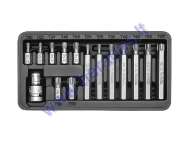 15 piece torx bit set  T20, T25, T30, T40, T45, T50, T55 L=30mm, L=70mm