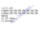 Antgalių rinkinys 15 dalių TORX T20, T25, T30, T40, T45, T50, T55 L=30mm, L=70mm