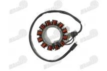 Apvija, apvijos generatoriaus 12 polių motociklui Sportster 883 XL883 4CAM tinka Harley-Davidson motociklams 29967-89C