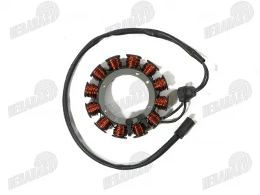 Apvija, apvijos generatoriaus 12 polių motociklui Sportster 883 XL883 4CAM tinka Harley-Davidson motociklams 29967-89C