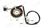 Apvija, apvijos generatoriaus 18 polių keturračio YAMAHA YFM 250 RAPTOR 08-13 4D3-81410-00-00