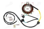 Apvija, apvijos generatoriaus 18 polių motociklo Suzuki VS 1400 GL Intruder 87-04 32101-38B00 32101-38B01 32101-38B02 Boulevard S83 VS1400 GLP Intruder 200