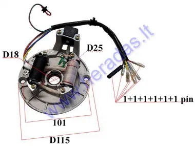 Magneto/stator 2 coils for ATV quad bike CROSS 70-125, JIALING 70