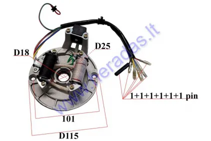 Magneto/stator 2 coils for ATV quad bike CROSS 70-125, JIALING 70