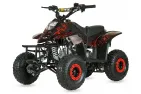 Quad bike 110cc CRUSADER SUPer EDITION 6c
