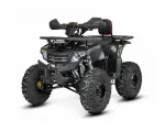 QUAD BIKE 125cc TREX 8c (PLEASE CONTACT FOR THE SENDING TERMS AND PRICE: PARDUOTUVE@HERADAS.LT)