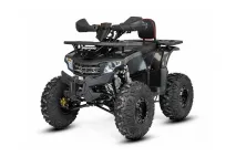 Benzininis Keturratis 125cc QWMOTO TREX 8c