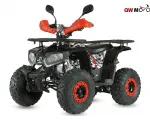 Benzininis Keturratis 125cc QWMOTO TREX 8c