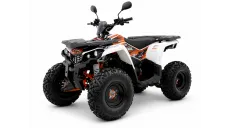 Benzininis keturratis  EGL MOTOR THE200 AUTOMATAS GY6