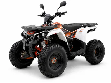 Gasoline ATV EGL MOTOR THE200 AUTOMATIC GY6