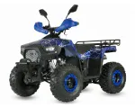 Petrol QUAD BIKE QWMOTO TIGER FOREST 125cc
