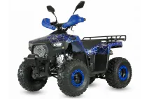 Petrol QUAD BIKE QWMOTO TIGER FOREST 125cc Petrol QUAD BIKE QWMOTO TIGER FOREST 125cc