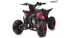 Gasoline Quad bike QWMOTO FOX MAX 110cc