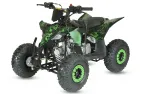 Benzininis Keturratis QWMOTO FOX MAX 110cc