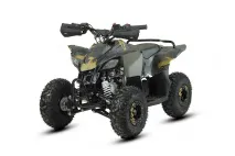 Benzininis Keturratis QWMOTO FOX MAX 110cc Benzininis Keturratis QWMOTO FOX MAX 110cc