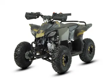 Benzininis Keturratis QWMOTO FOX MAX 110cc