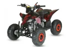 Benzininis Keturratis QWMOTO FOX MAX 110cc