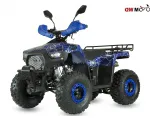 Benzininis Keturratis QWMOTO TIGER FOREST 125cc