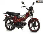 BENZININIS MOPEDAS CHAMP DELTA 48CC