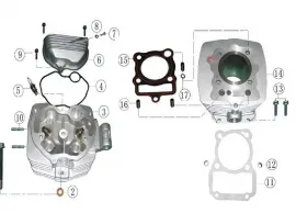 ATV engine engine head diagram. CG type