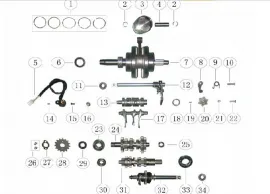 ATV engine gearbox and crank shaft diagram.