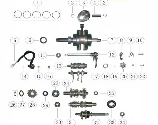 ATV engine gearbox and crank shaft diagram.
