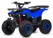 Electric ATV's