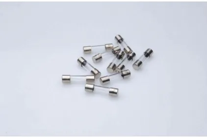 SAUGIKLIS MZ 2A 5X20 MM 10 VNT. PAKUOTĖ SAUGIKLIS MZ 2A 5X20 MM 10 VNT. PAKUOTĖ