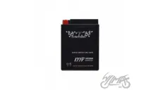 BATTERY B38-6A WM MOTOR 6 VOLT SMF
