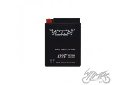 BATTERY B38-6A WM MOTOR 6 VOLT SMF