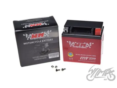 BATTERY WTX5L-BS ( YTX5L-BS ) (GEL) WM MOTOR 12 VOLT
