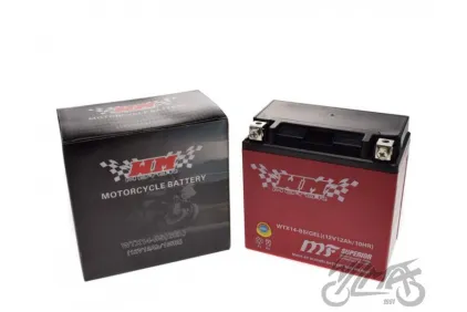 BATTERY WTX14-BS ( YTX14-BS ) (GEL) WM MOTOR 12 VOLT