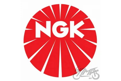CR7E 4578 SPARK PLUG NGK ( U22ESRN )