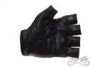 GLOVES , FINGERLESS L