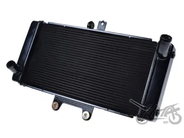 RADIATOR, COOLANT FOR SUZUKI GSF650