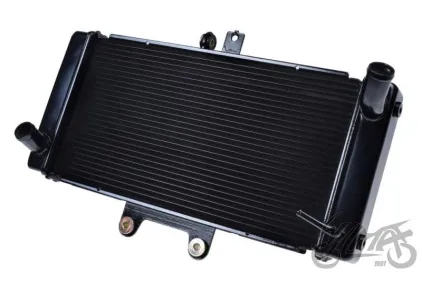 RADIATOR, COOLANT FOR SUZUKI GSF650