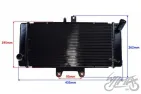 RADIATOR, COOLANT FOR SUZUKI GSF650