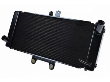 RADIATORIUS SUZUKI GSF1250