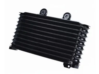 RADIATORIUS SUZUKI GSF600