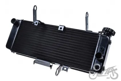 RADIATOR, COOLANT FOR SUZUKI SV650