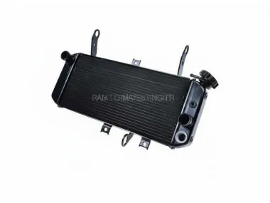 RADIATORIUS SUZUKI SV650