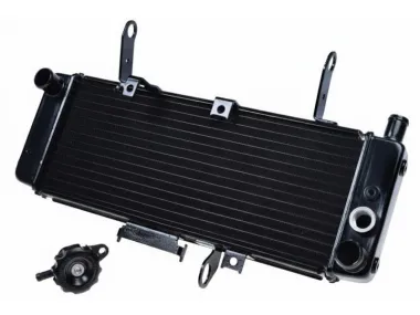 RADIATOR, COOLANT FOR SUZUKI SV650S