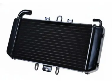 RADIATORIUS YAMAHA FZS600