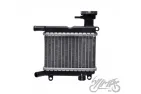 RADIATOR, COOLANT FOR YAMAHA 50 AEROX 4 / NEOS 4