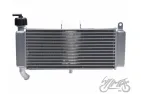 RADIATOR, COOLANT FOR APRILIA RS 50 / 125 2017-2020, YAMAHA FANTIC