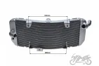 RADIATORIUS YAMAHA TMAX 530 2012-2016